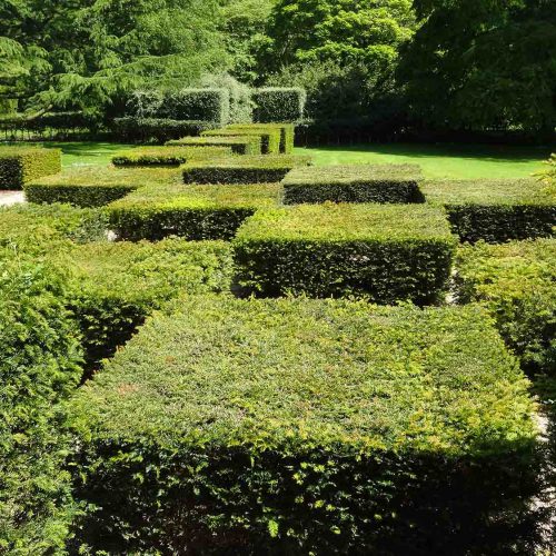 Buckfast Abbey Gardens - Rathbone Partnership