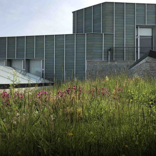 Tate Roof Garden - Rathbone Partnership